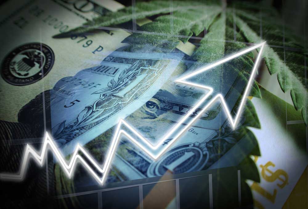 trade in forex picture19