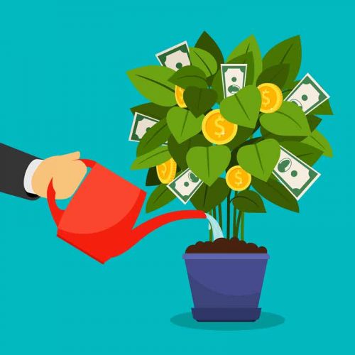 Itbfx Forex interest